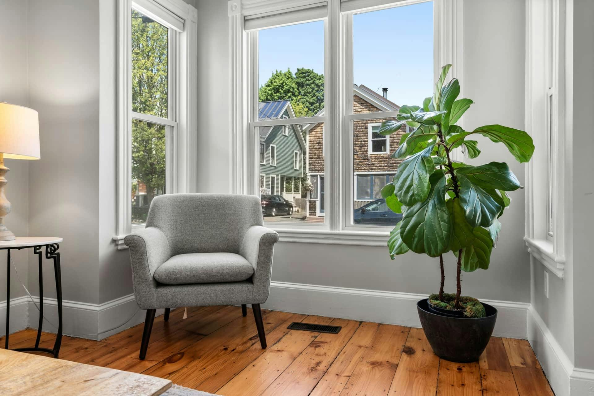 Room by the window with plant and chair