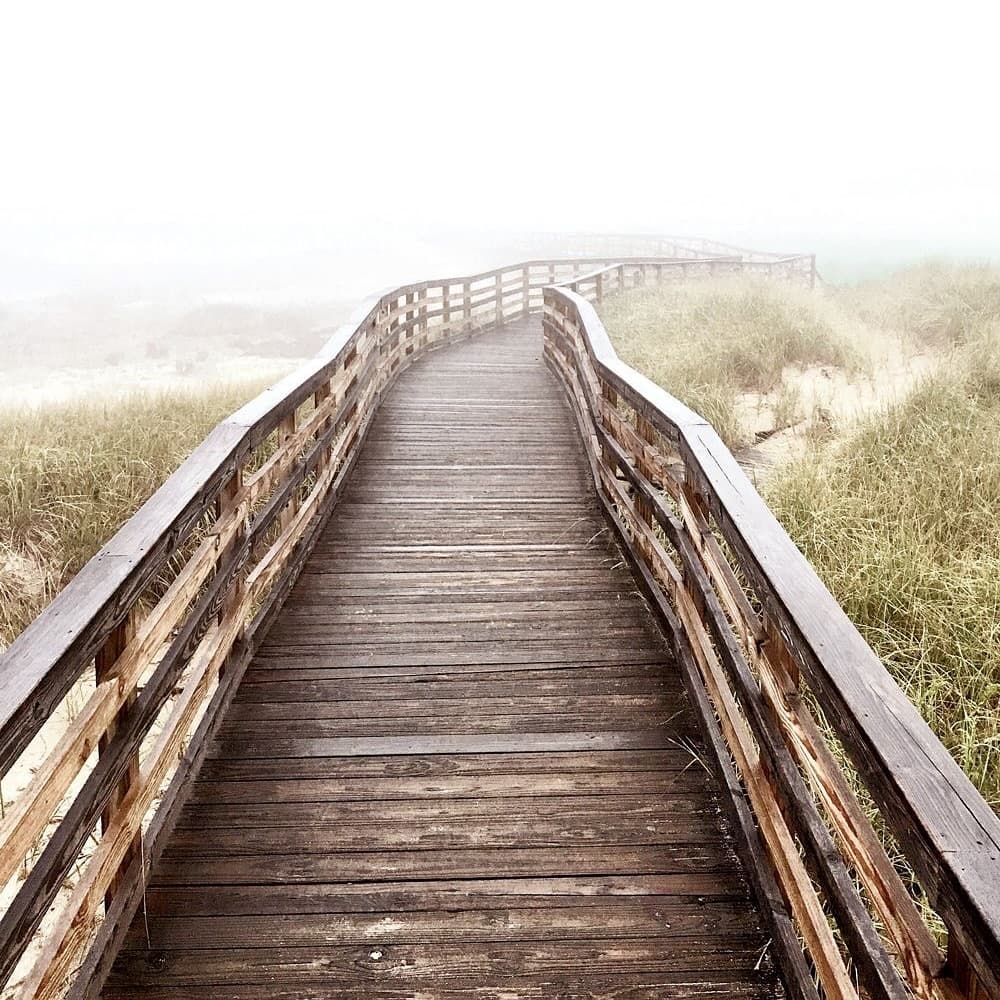 Instagram picture from profile feed